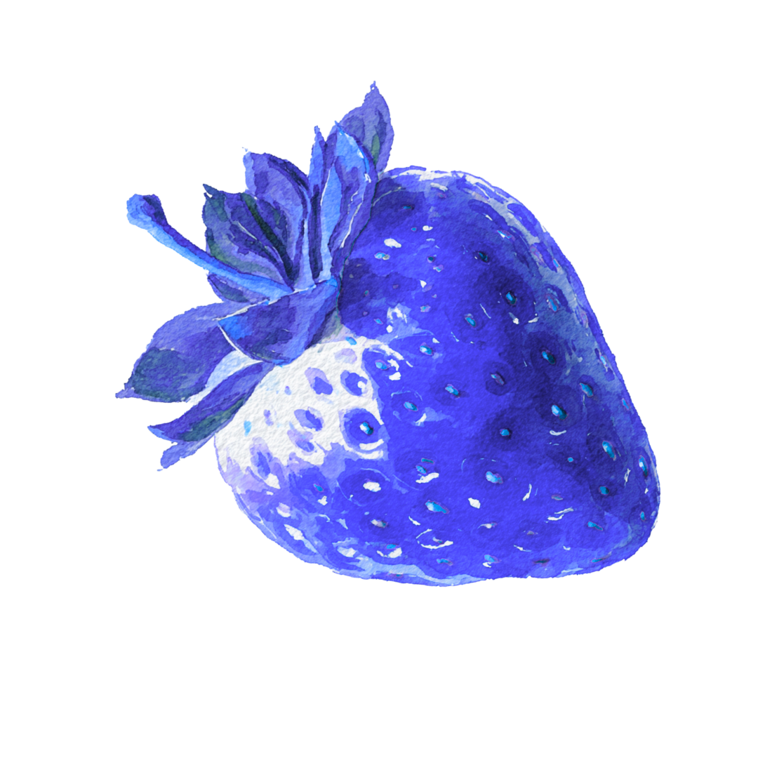 PerryPop | The Creators Collective